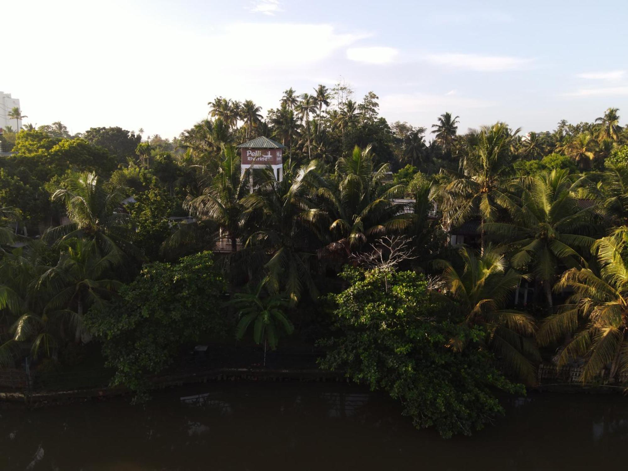 Pelli Riverine Weligama Ngoại thất bức ảnh