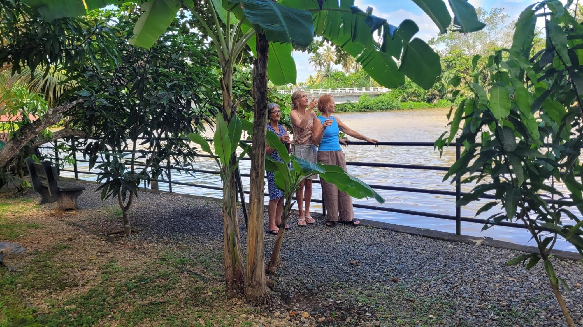 Pelli Riverine Weligama Ngoại thất bức ảnh