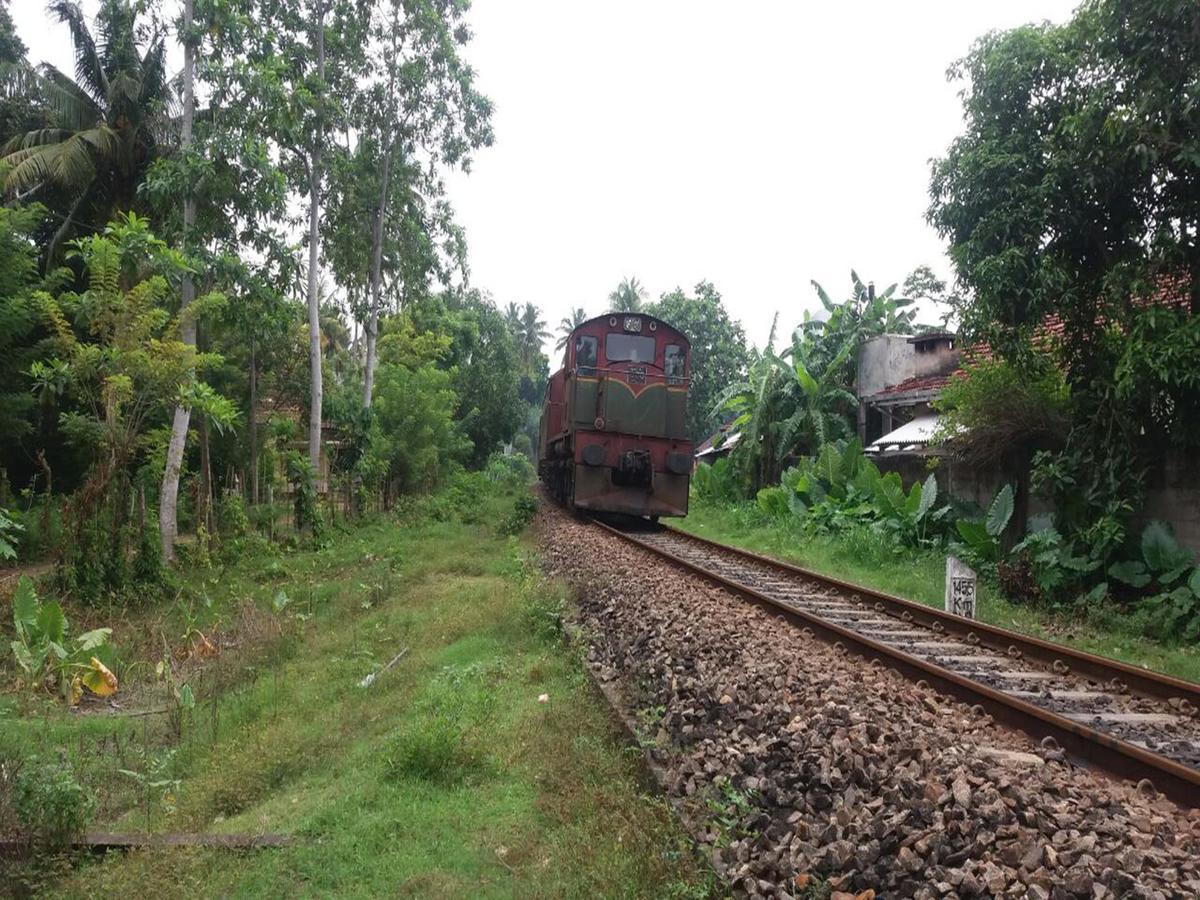 Pelli Riverine Weligama Ngoại thất bức ảnh